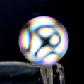 DTC Prediction 2019