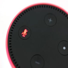 The Business of Voice Assistants in the Retail Sector