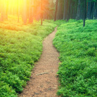Optimising the Retail Customer Journey: Q&A with Yieldify