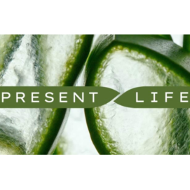 Present Life Launches; DTC Ad Impressions up 13.7% Present Life